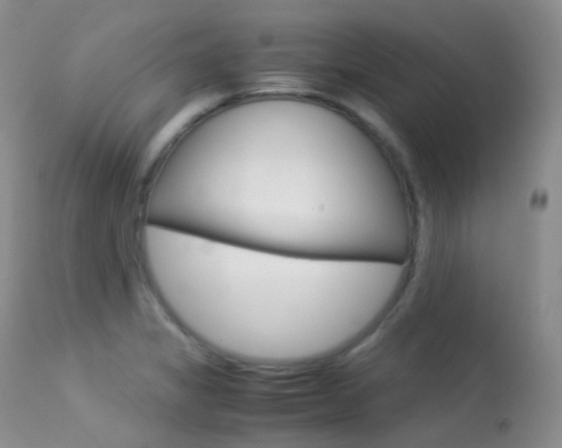 X0000113541325200909181014