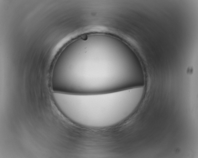 X0000113541326200909181014