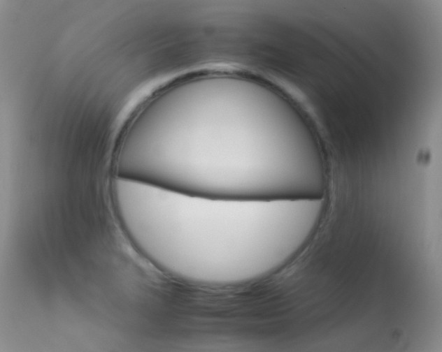 X0000113541327200909181014