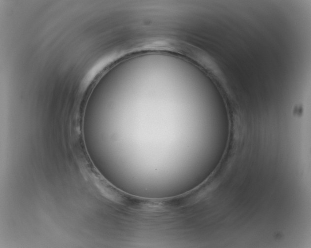 X0000113541328200909181014