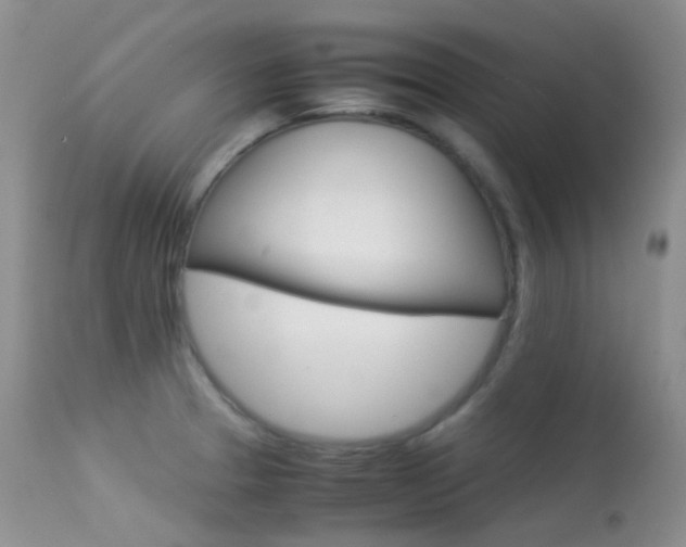 X0000113541329200909181014