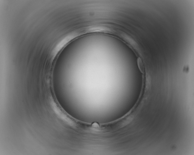X0000113541330200909181014