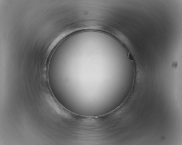 X0000113541332200909181014