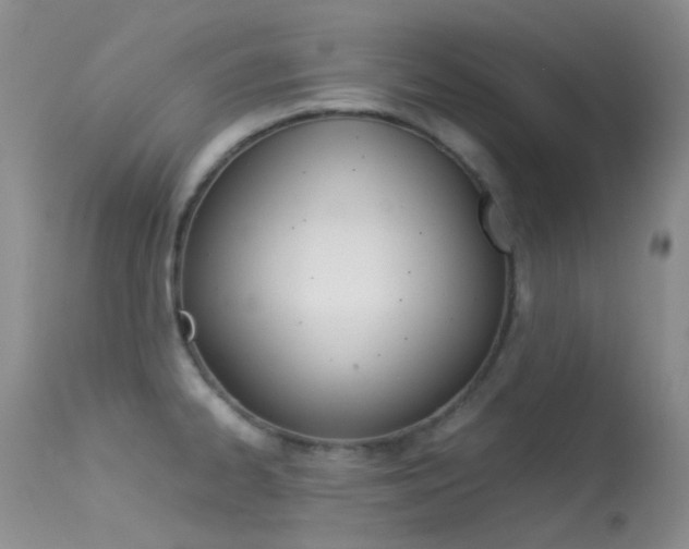 X0000113541334200909181014
