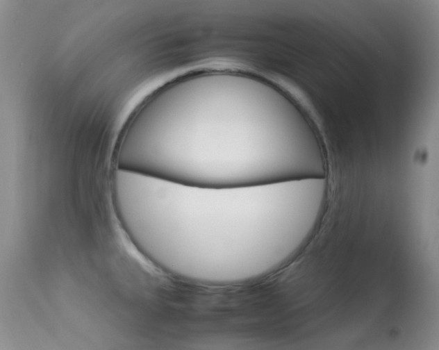 X0000113541335200909181014