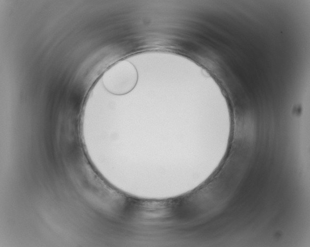 X0000113541338200909181014