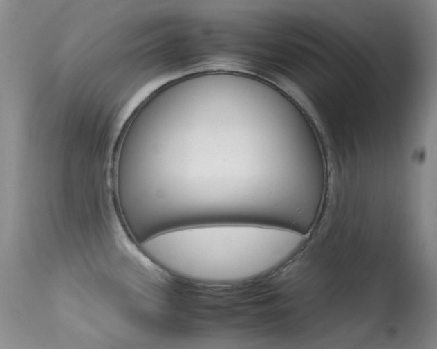 X0000113541339200909181014