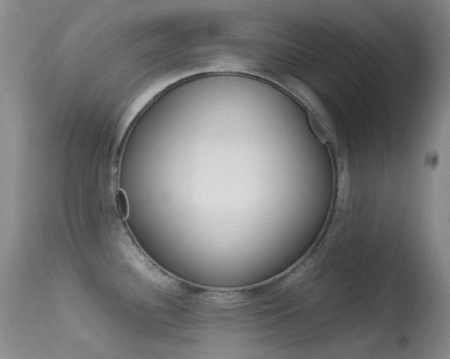 X0000113541340200909181014