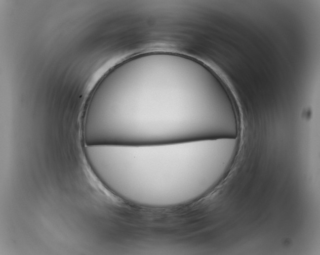 X0000113541341200909181014