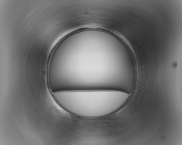 X0000113541343200909181014