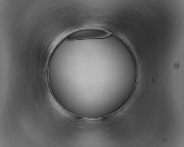 X0000113541344200909181014