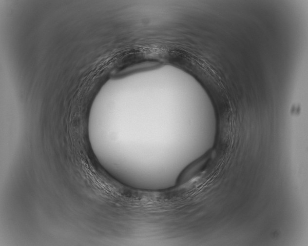 X0000113541345200909181013