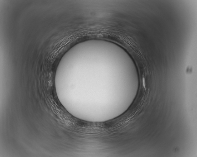 X0000113541347200909181013