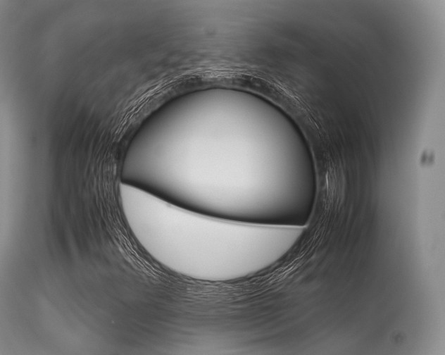 X0000113541348200909181013