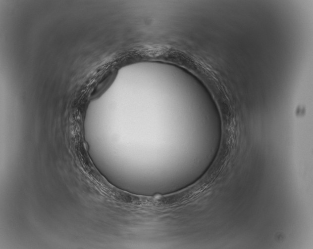 X0000113541349200909181013