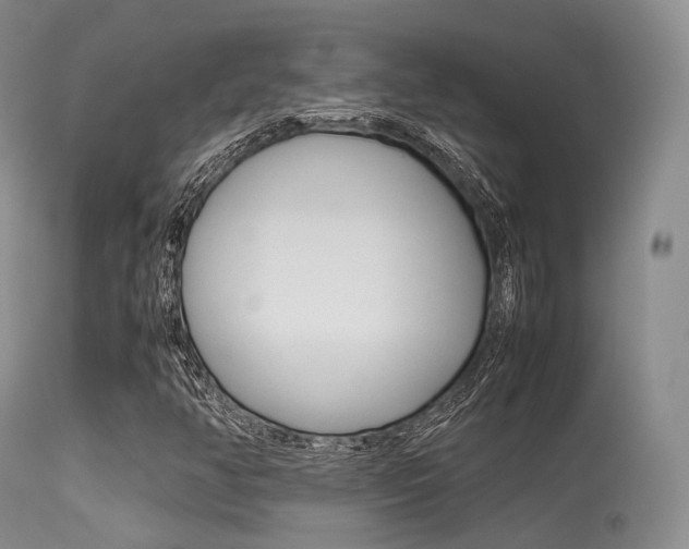 X0000113541350200909181013