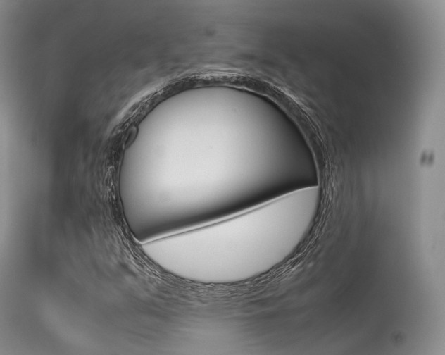 X0000113541351200909181013