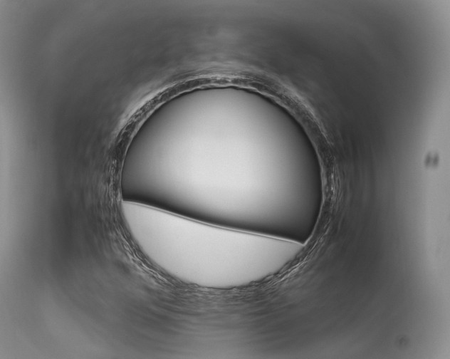 X0000113541352200909181013