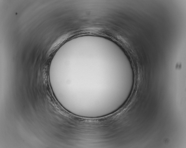 X0000113541354200909181013