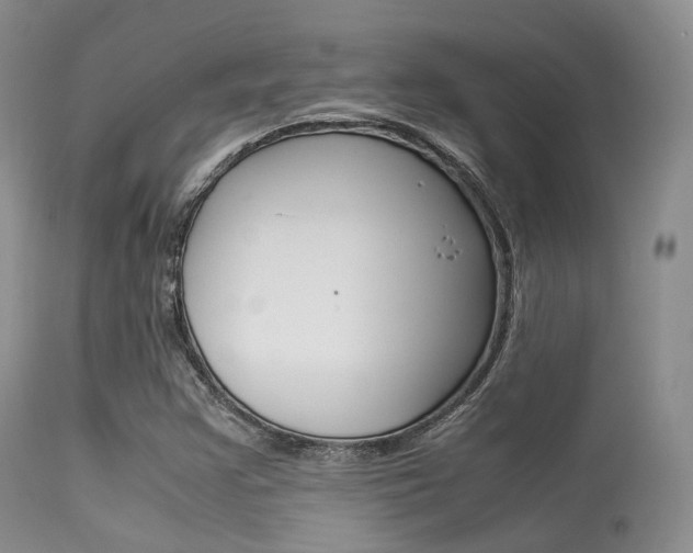 X0000113541355200909181013