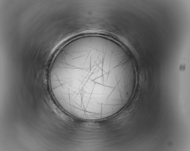 X0000113541356200909181013
