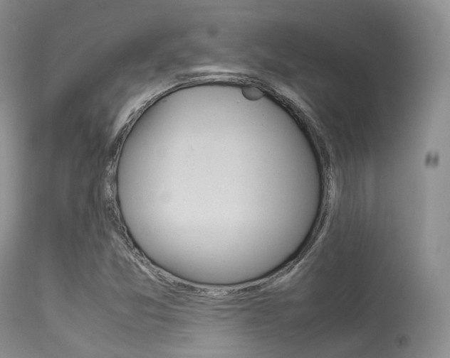 X0000113541357200909181013