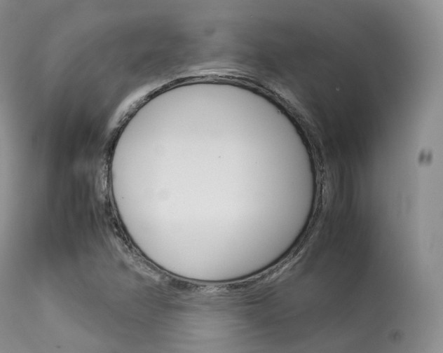 X0000113541358200909181013
