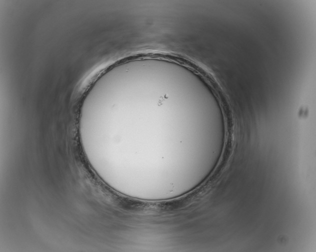 X0000113541359200909181013