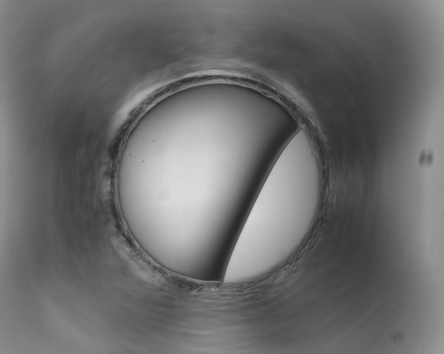 X0000113541360200909181013