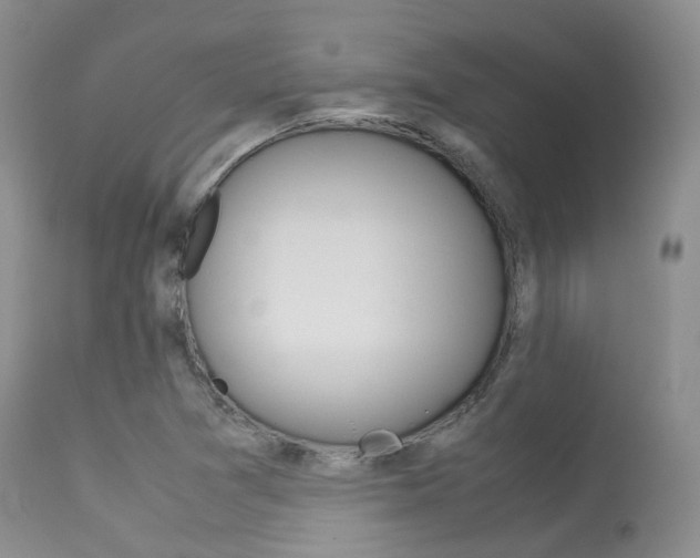 X0000113541361200909181013