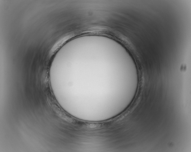 X0000113541362200909181013