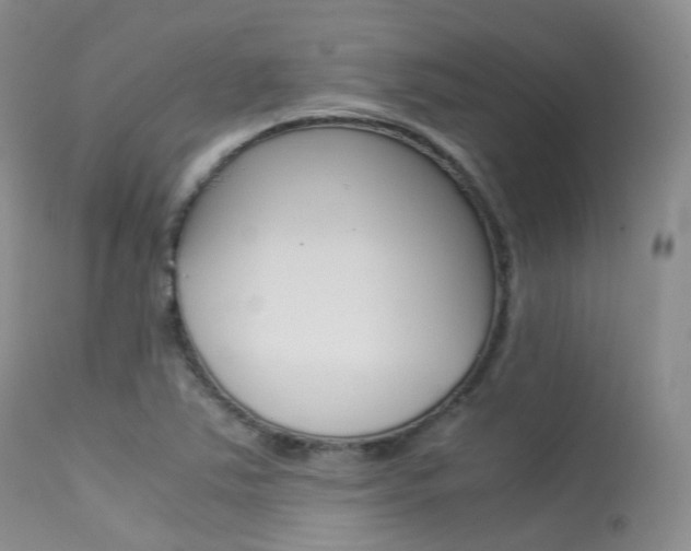 X0000113541363200909181013