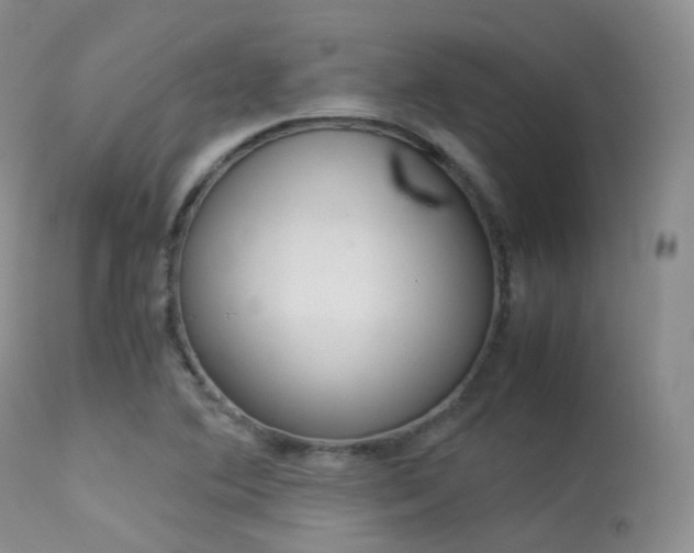 X0000113541364200909181013