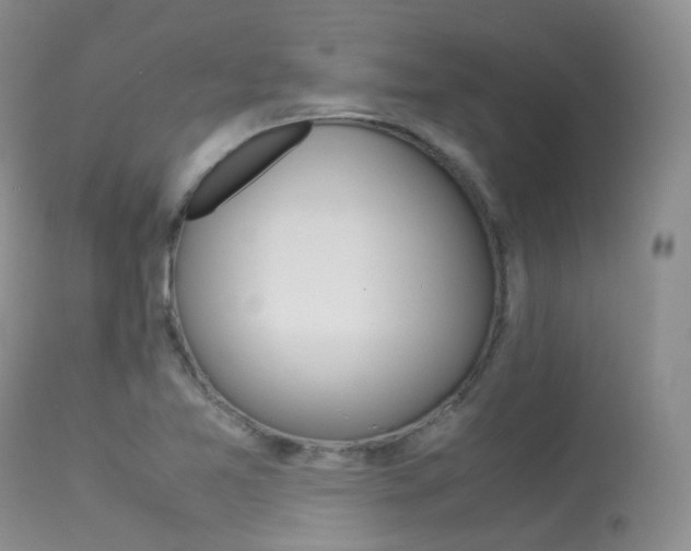 X0000113541365200909181013