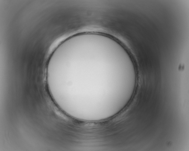 X0000113541366200909181013