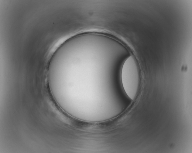 X0000113541367200909181013