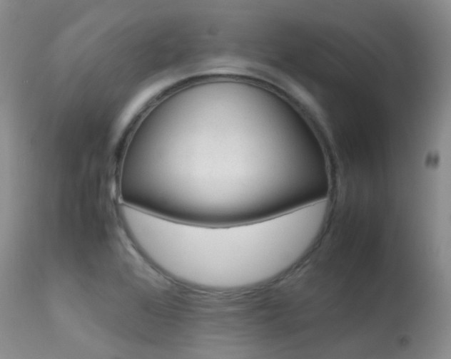 X0000113541368200909181013