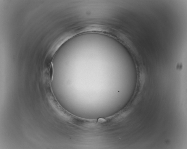 X0000113541369200909181013