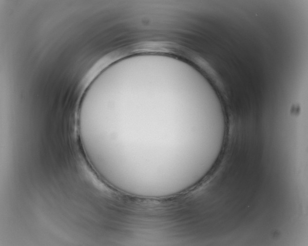 X0000113541370200909181013