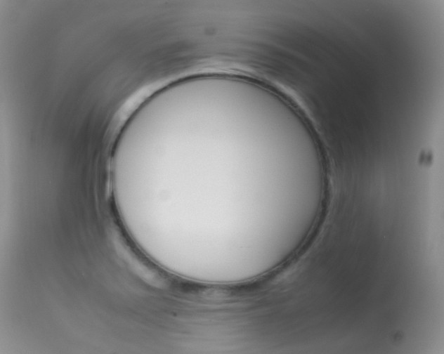 X0000113541371200909181013