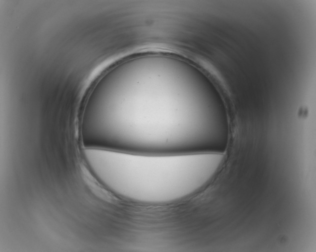 X0000113541372200909181013