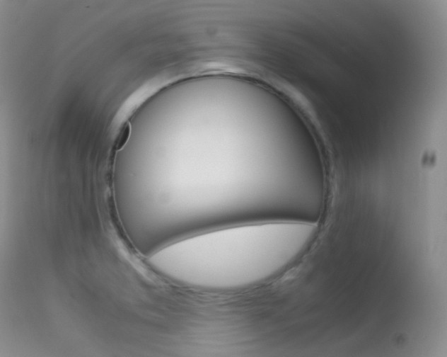 X0000113541373200909181013