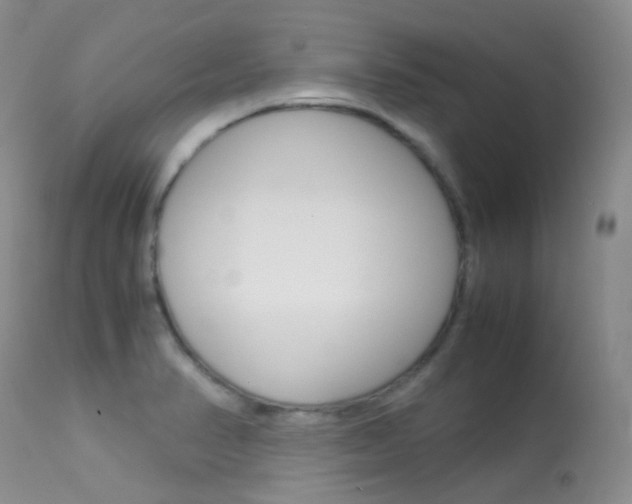 X0000113541374200909181013