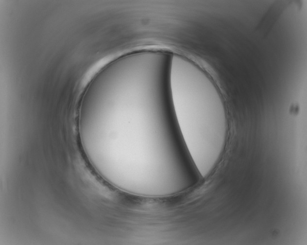 X0000113541375200909181013