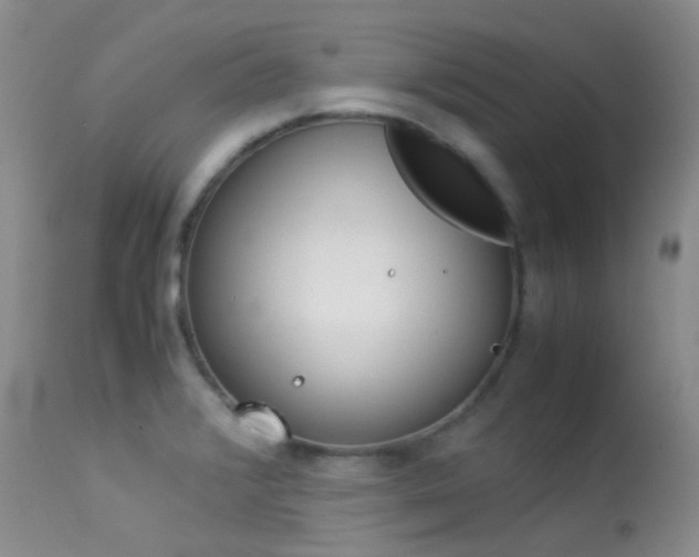 X0000113541376200909181013