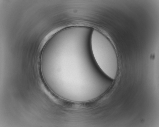 X0000113541379200909181013