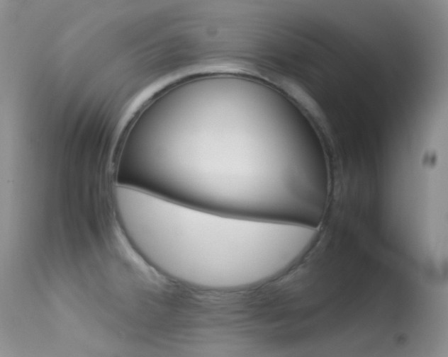 X0000113541380200909181013