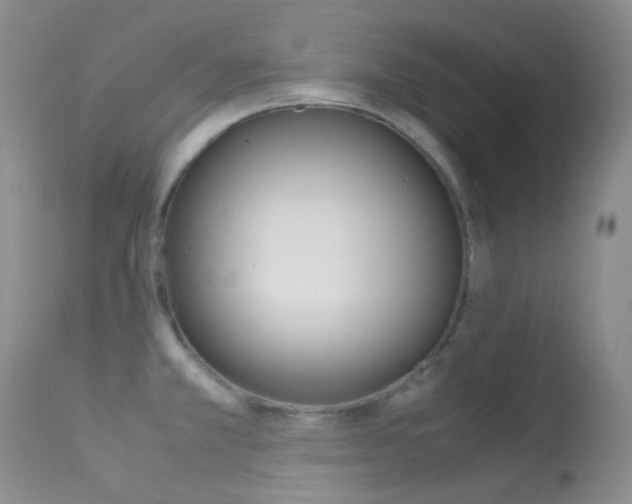 X0000113541381200909181013