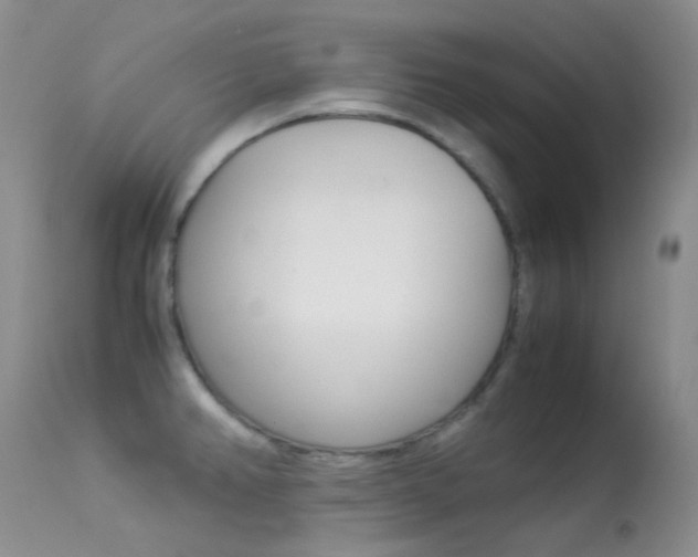 X0000113541382200909181013