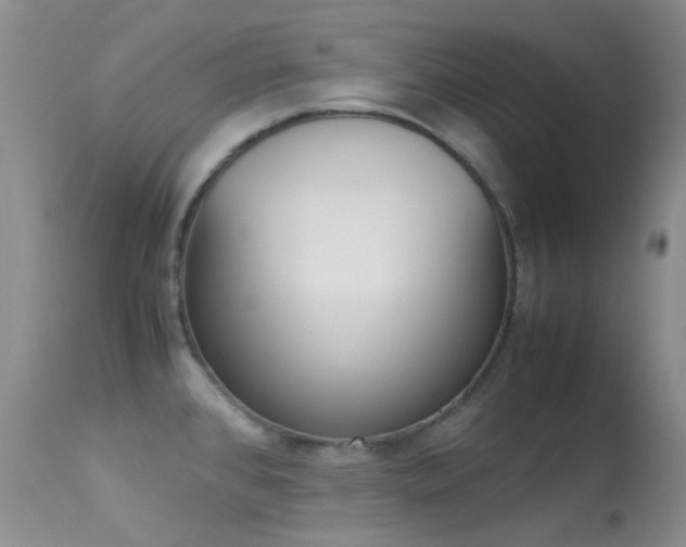 X0000113541384200909181013